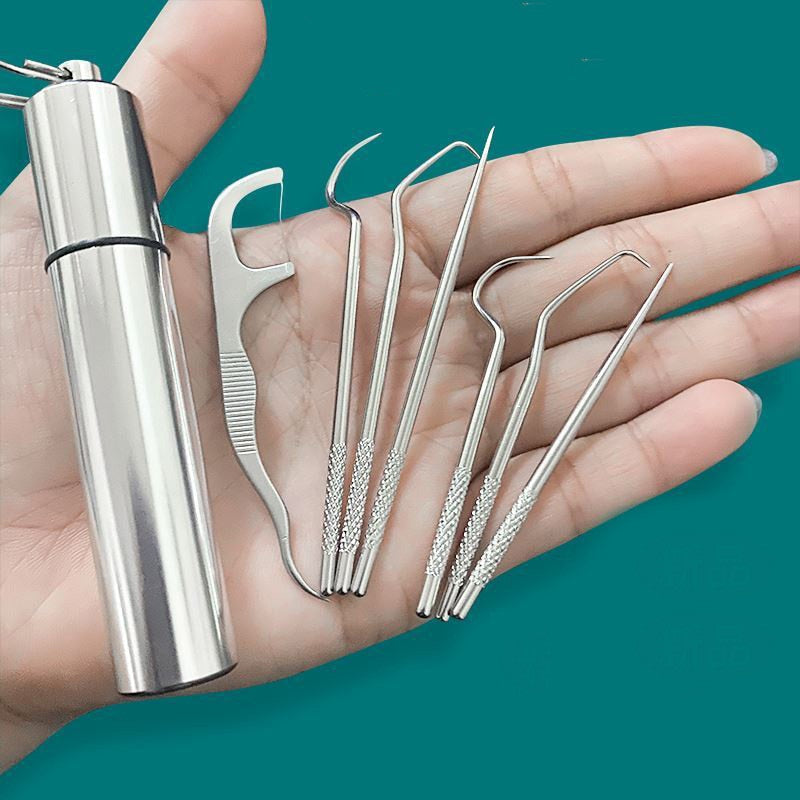 Stainless Steel Toothpick Set 7pcs