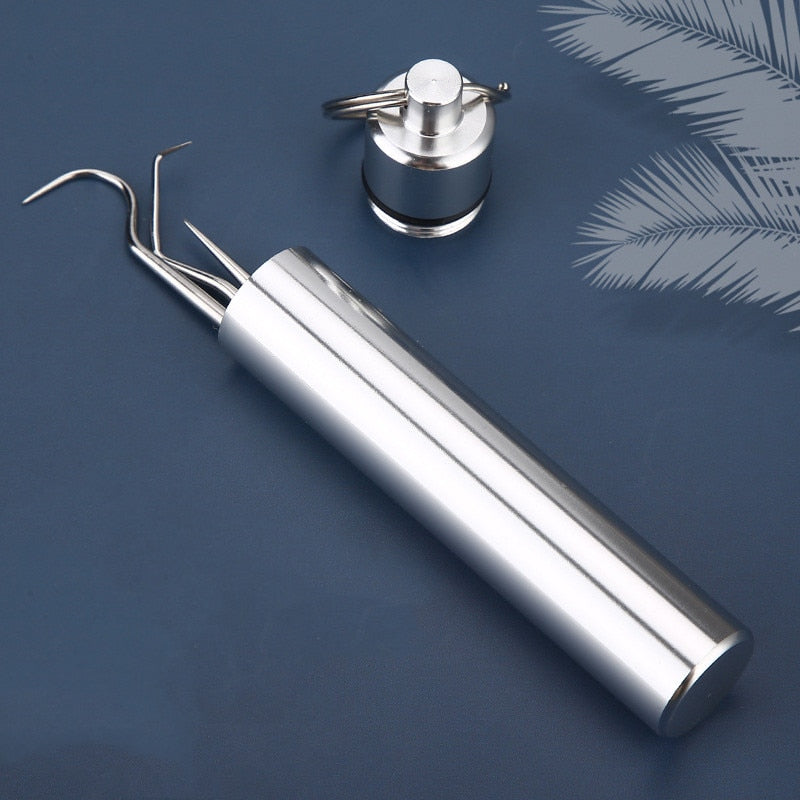 Stainless Steel Toothpick Set 7pcs