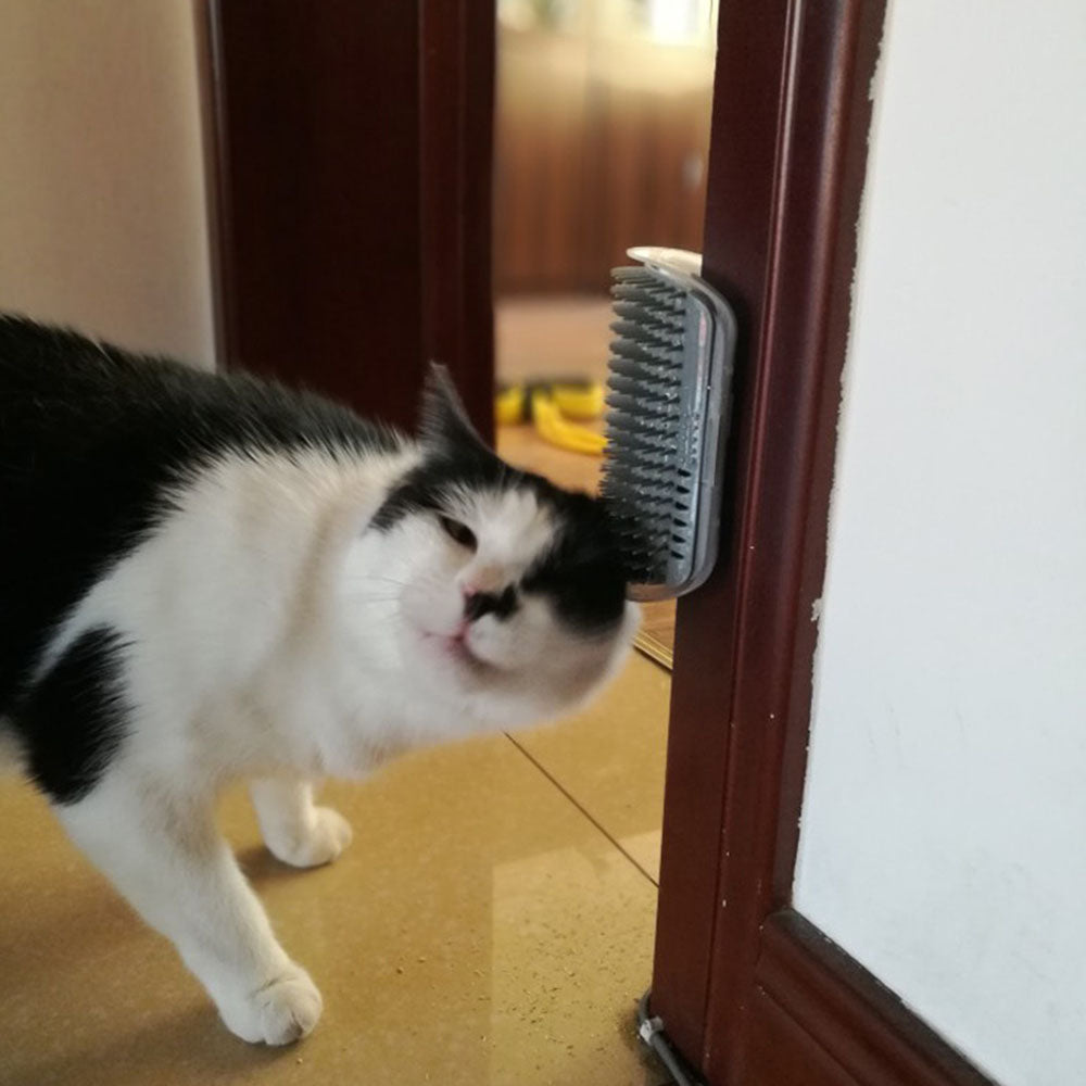 Cat Massage Brush