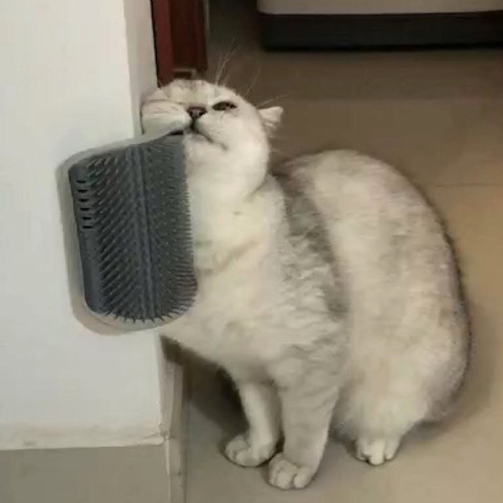 Cat Massage Brush