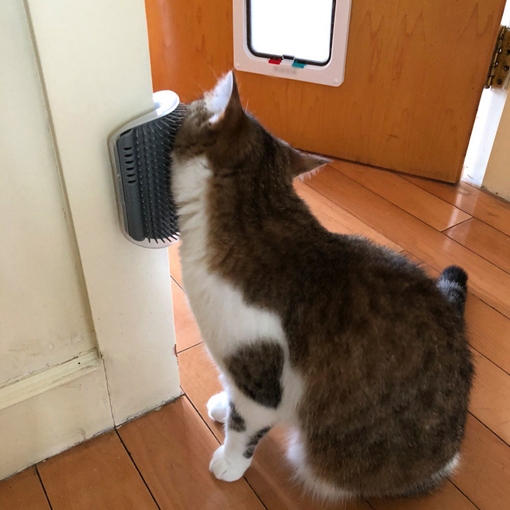 Cat Massage Brush