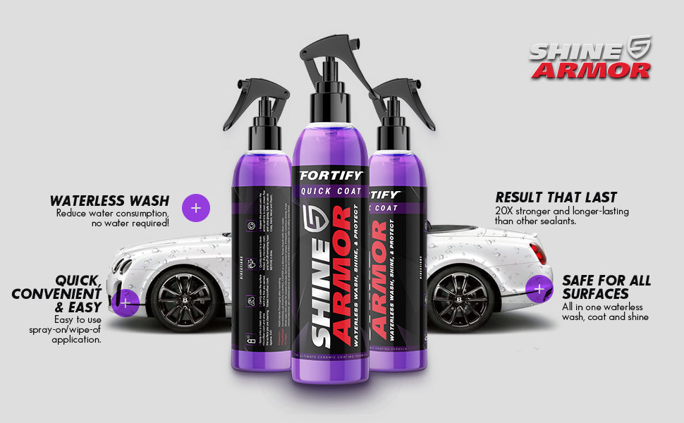 Scratch Repair Polish Spray (4-6 weeks shipping)