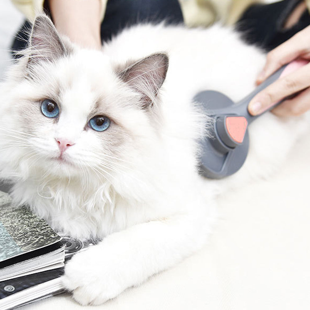 Pets Hair Brush Remover