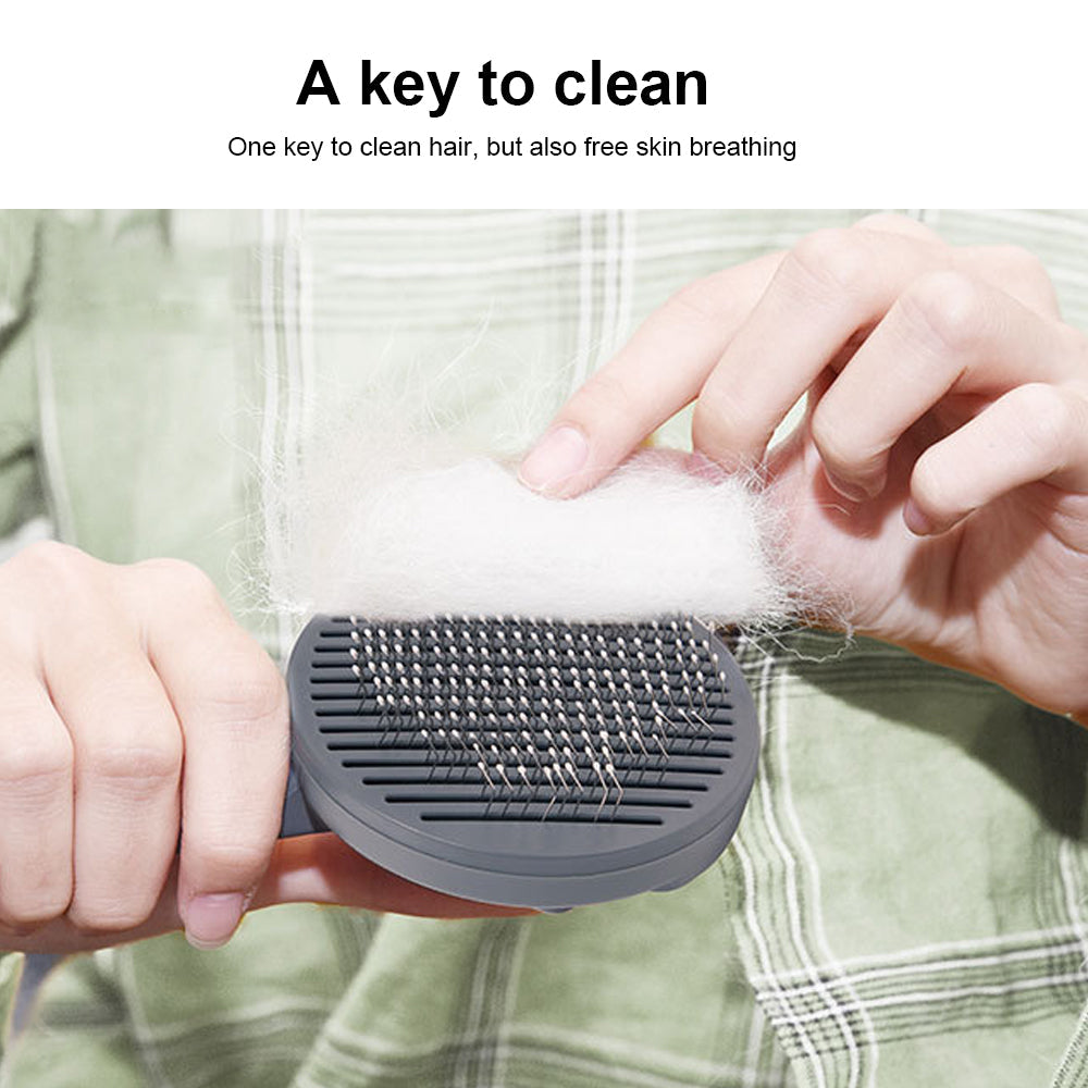 Pets Hair Brush Remover