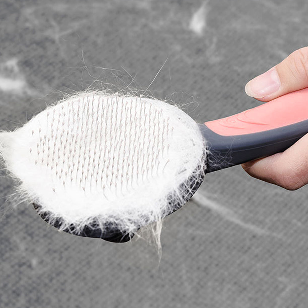 Pets Hair Brush Remover