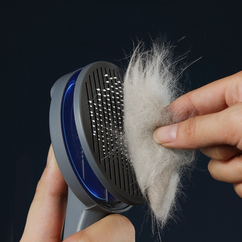 Pets Hair Brush Remover